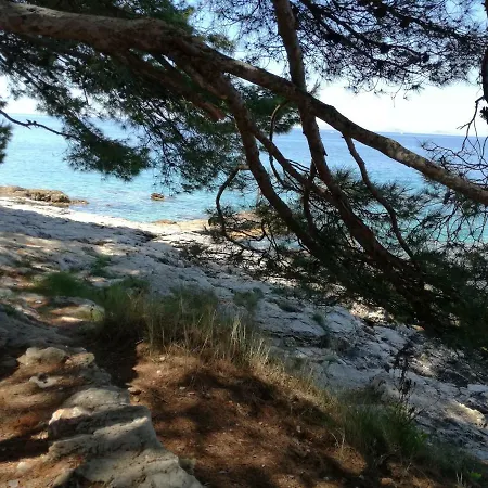 Sole E Mare *